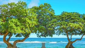 A beach with two large trees and a chair. - Updated Islander Studio | Ground Floor Convenience (Kapaa)