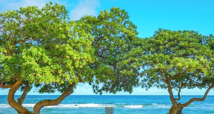 Islander on the Beach 120| Walk to Beach | Studio w/AC