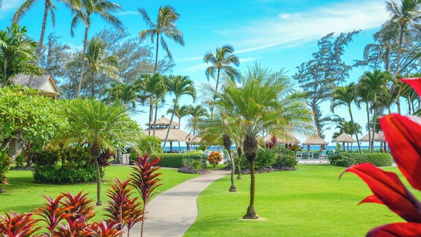 A tropical resort with a well-maintained lawn, palm trees, and a pathway leading to a beach area. - Updated Islander Studio | Ground Floor Convenience (Kapaa)