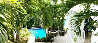 Silver Palm at Palm Terrace