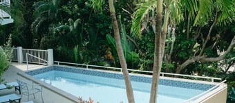 Silver Palm at Palm Terrace