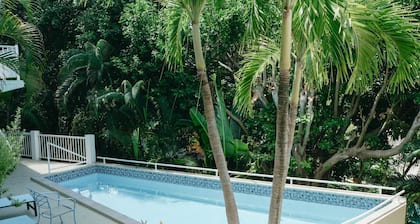 Silver Palm at Palm Terrace
