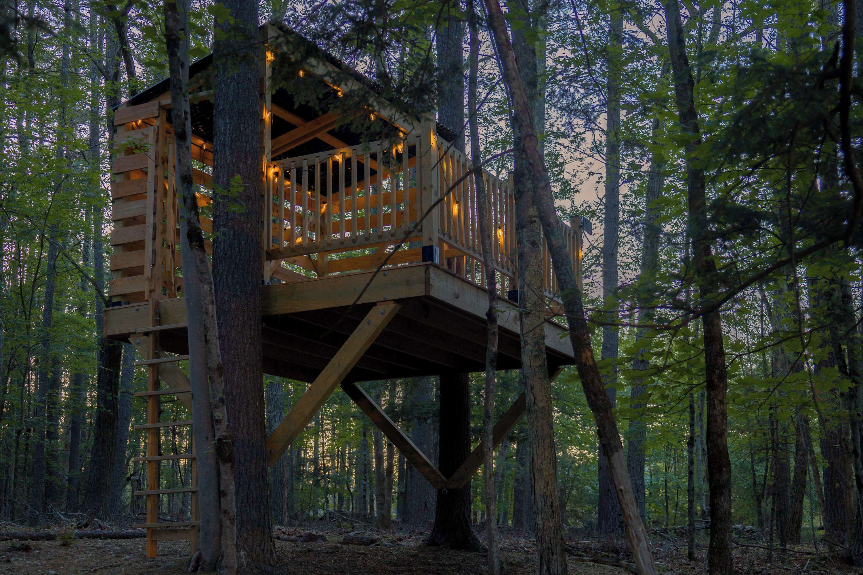 A wooden treehouse with a ladder, surrounded by a forest.