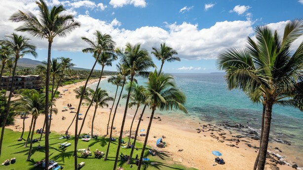 A beach with palm trees, a clear sky, and a view of the ocean. - Stunning retreat with oceanfront views (Kihei)