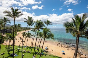 A beach with palm trees, a clear sky, and a view of the ocean.