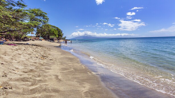 Una playa con aguas azul cristalinas, orilla de arena y árboles.