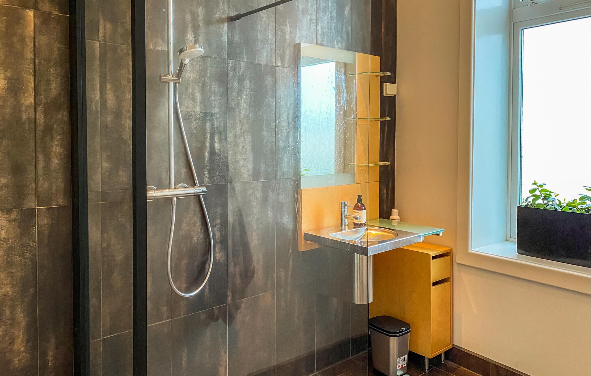 Shower, hair dryer
