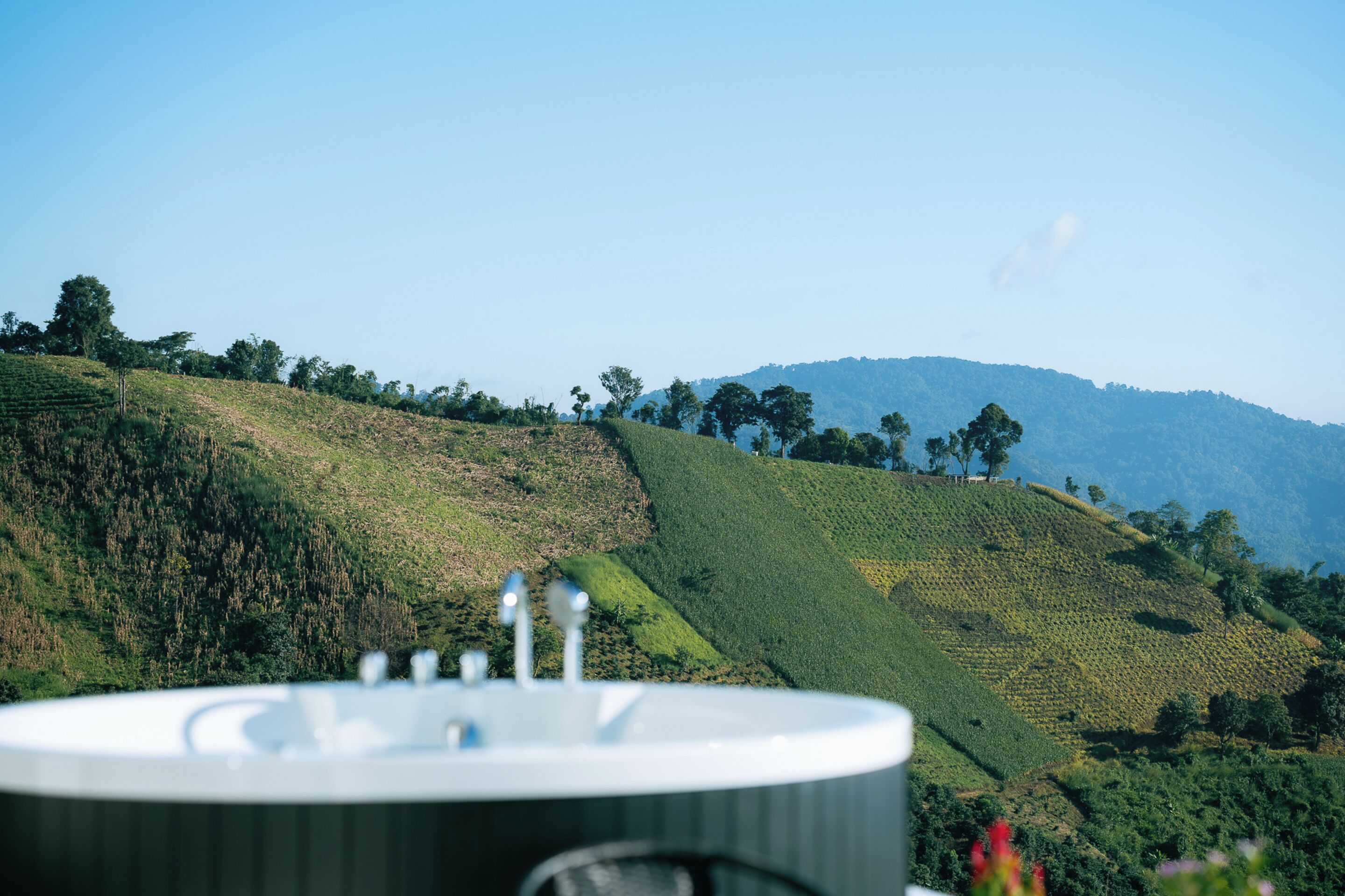 A view of a lush green hillside with a clear sky.