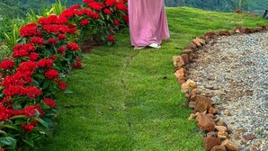 A woman in a pink dress standing on a grassy hill with red flowers, overlooking a hilly landscape. - Above the clouds - Chiang rai (Chiang Rai)