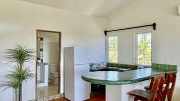 Departamento de lujo, 1 habitación, vista a la playa | Cocina privada | Refrigerador con congelador, licuadora y utensilios de cocina