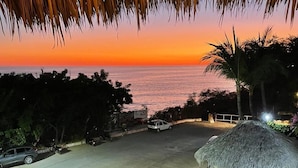 Unclassified image, 5 of 16, button - Casa de las Aves (Puerto Escondido)