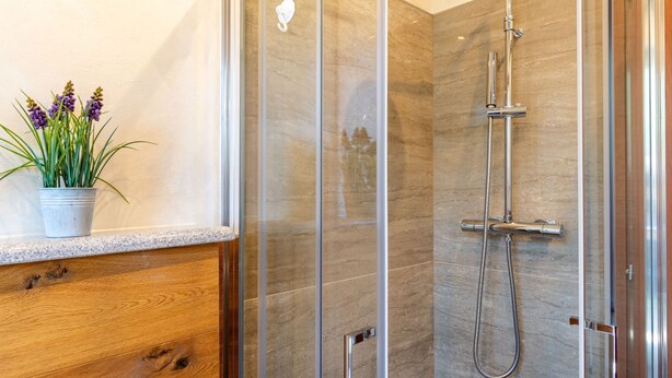 A modern bathroom with a glass shower enclosure, a wooden vanity, and a potted plant. - Angelica by Interhome (Lago di Mezzola)