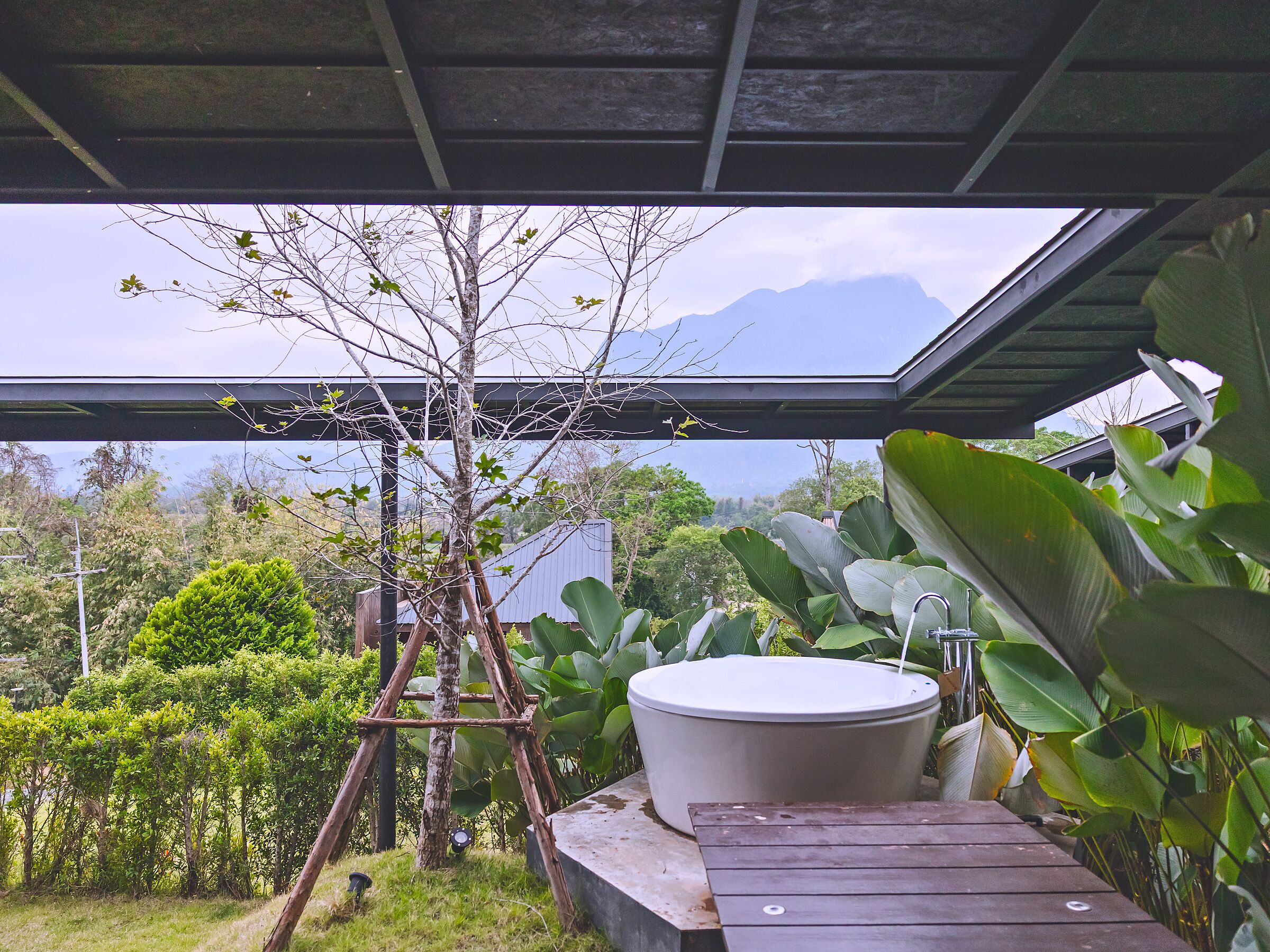 Un espace extérieur abrité, doté d’une terrasse en bois, d’un grand bac à plantes orné de larges feuilles et offrant une vue sur les montagnes et les arbres.