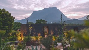 Un edificio moderno con fachada de madera, rodeado de un jardín con diversas plantas y una montaña al fondo.