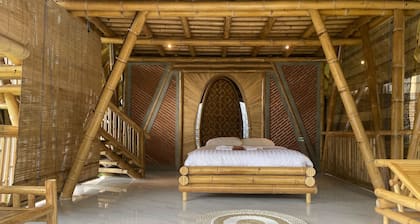 The Osing Bamboo - A Liberta Collection