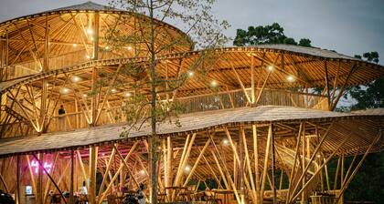 The Osing Bamboo - A Liberta Collection