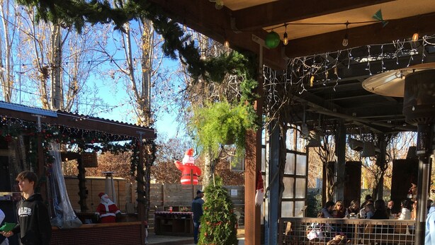 An outdoor seating area with wooden tables and chairs, a small Christmas tree, and a potted plant. - Fully Renovated 1905 Victorian in Historic Napa Neighborhood  (Napa)