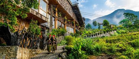 A traditional wooden building with a stone pathway leading to it, surrounded by lush greenery and a mountain in the background.