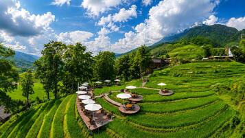 Terraced rice fields with outdoor seating areas and a mountain in the background.