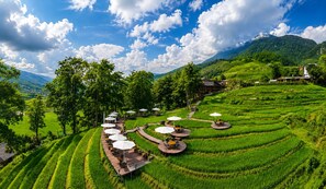 Terraced rice fields with outdoor seating areas and a mountain in the background. - MT House Sa Pa (Sa Pa)