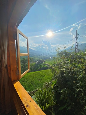 Utsikt fra overnattingsstedet