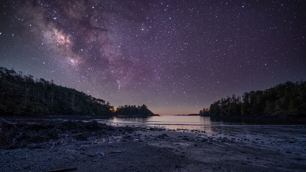 Un ciel nocturne constellé d’étoiles et traversé de la Voie lactée, au-dessus d’une plage bordée d’arbres de chaque côté.