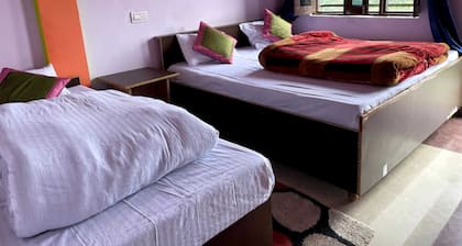 Pine Tree Homestay
