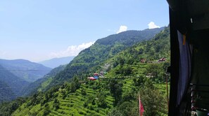 Mountain view - Pine Tree Homestay (Ukhimath)