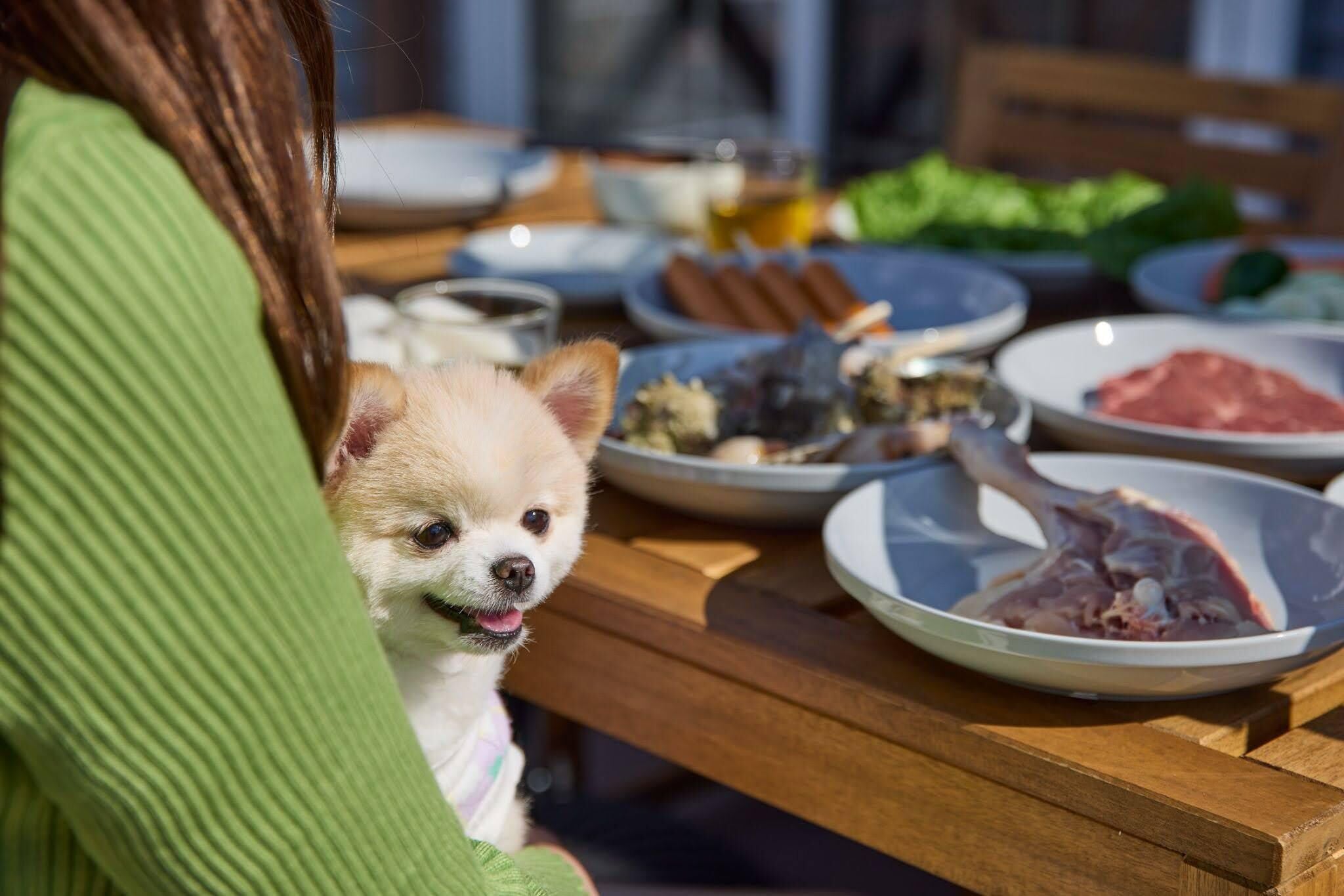 A dining table with various dishes and a dog sitting on the table.