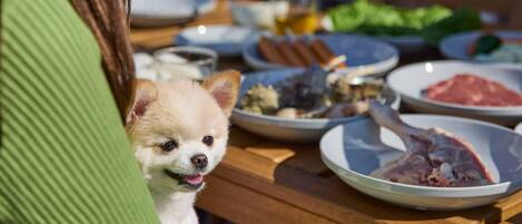 A dining table with various dishes and a dog sitting on the table.