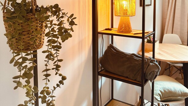 Um quarto com planta pendurada, prateleira de madeira com luminária e área de estar.
