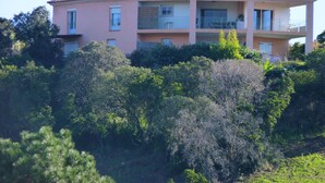 Um edifício de vários andares com varandas, rodeado por vegetação densa.