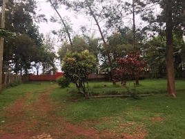 Outdoor wedding area