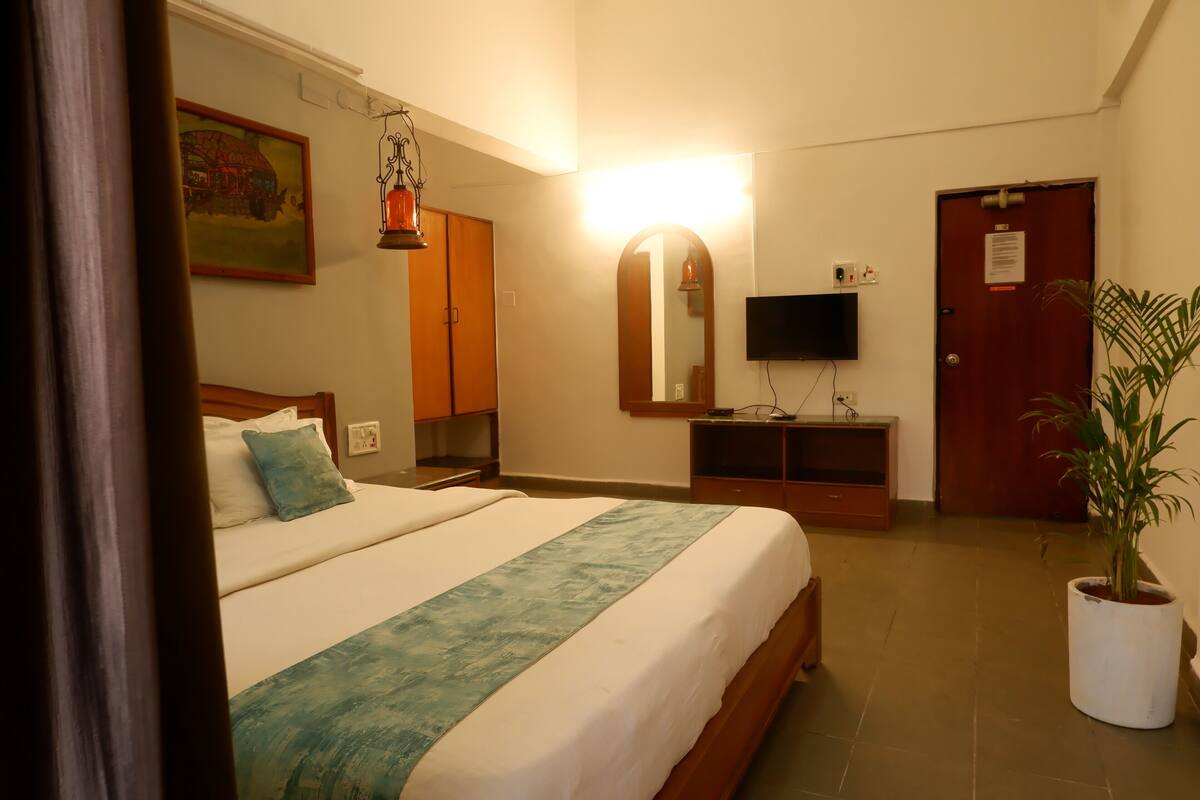 A hotel room with a bed, a TV, a door, and a potted plant.