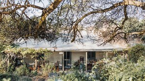 Tasting room - Skillogalee Estate (Spring Gully)