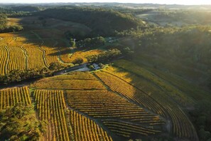 Exterior - Skillogalee Estate (Spring Gully)