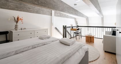2ndhomes Tampere Pyynikki Loft Apartment