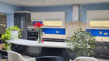 Fridge, oven, stovetop, dishwasher