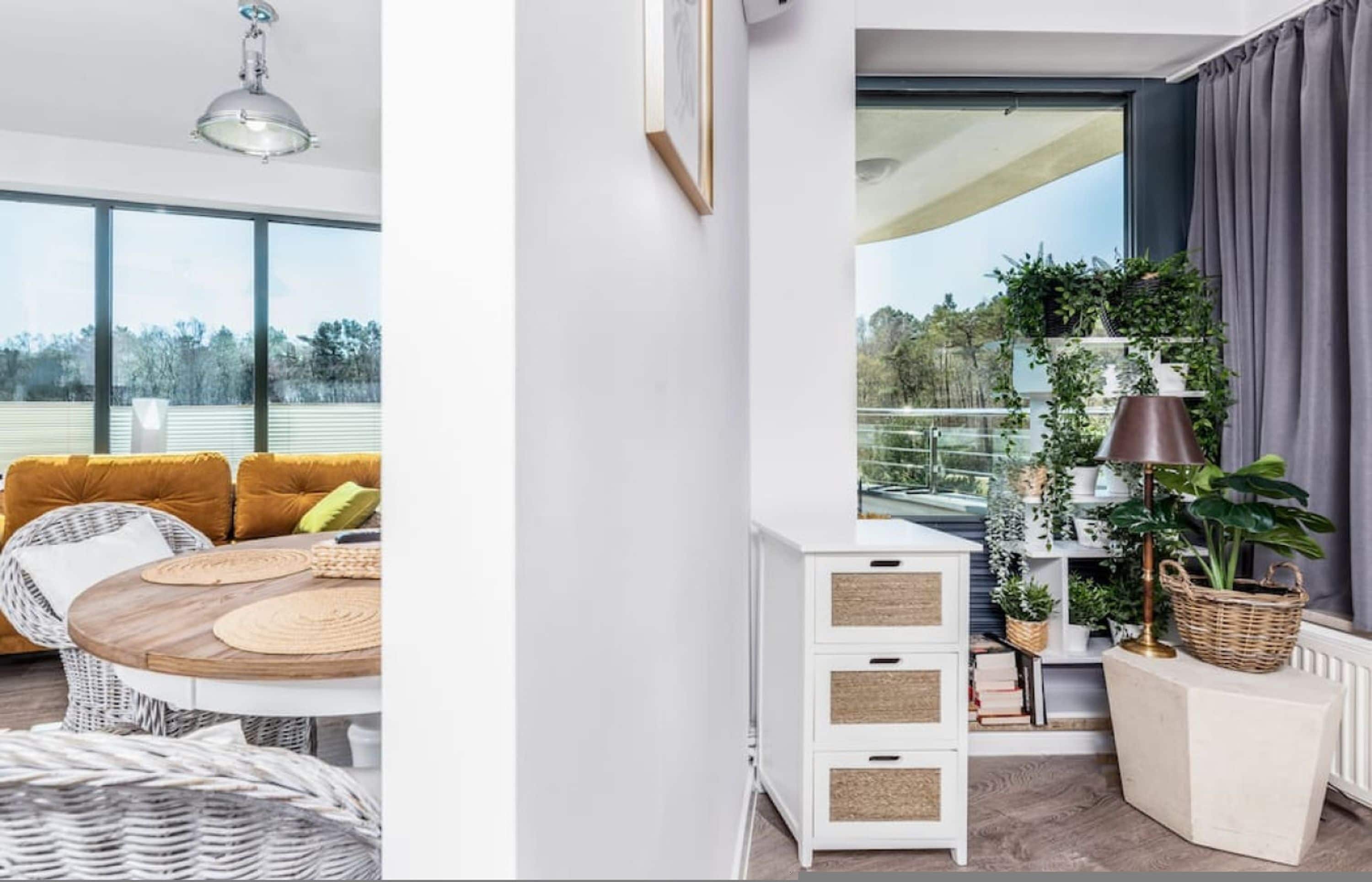 Apartment | 1 bedroom
