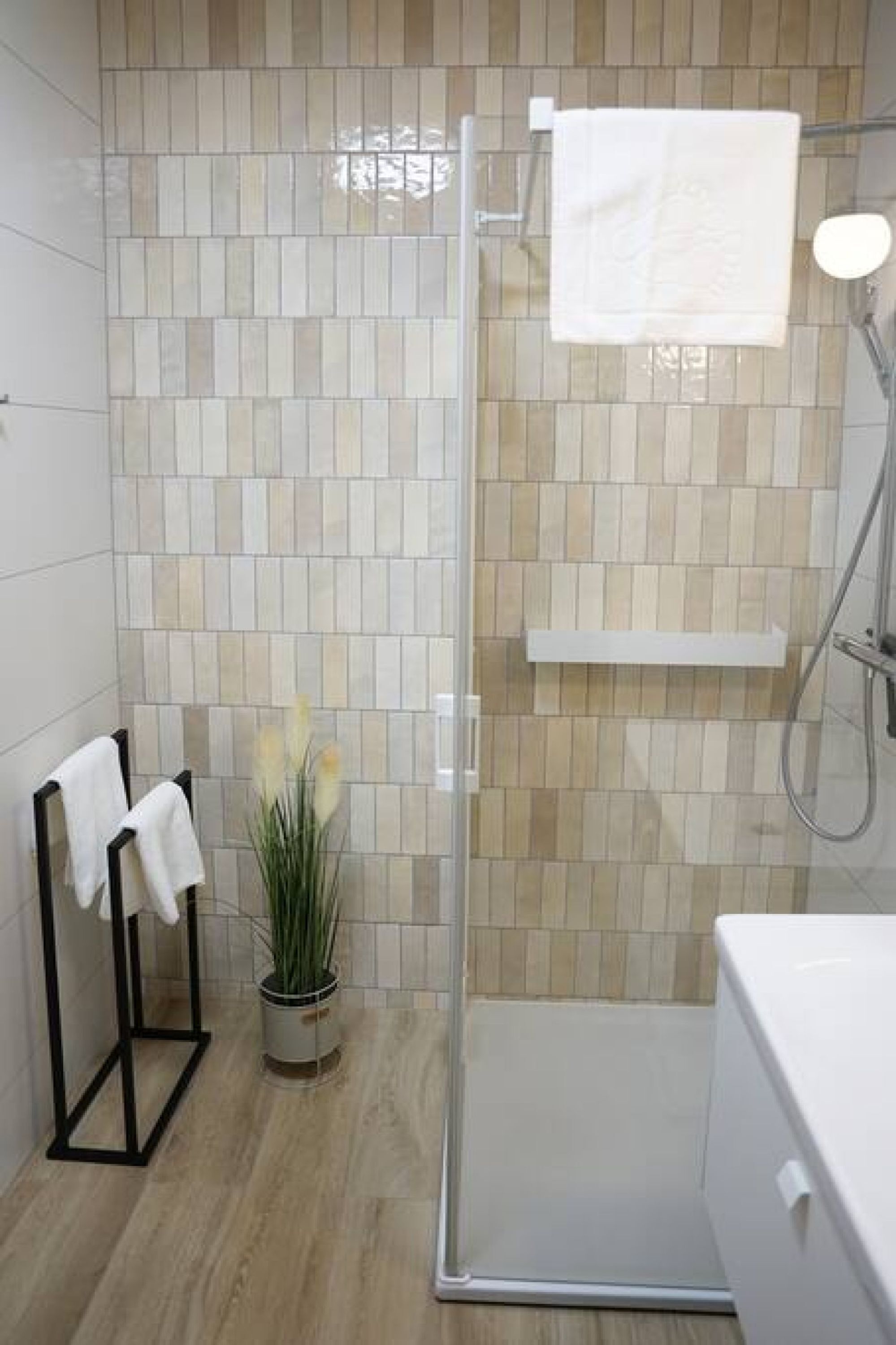 A modern bathroom with a glass shower enclosure, a white sink, and a potted plant.