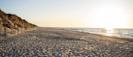 Una playa con un sendero arenoso y dunas.