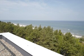 A coastal view with a beach and dense forest. - Art Forrest 33 M in Rogowo (Trzebiatow)