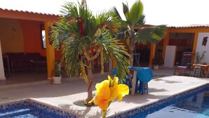 Exterior - Colibri (Niaga)