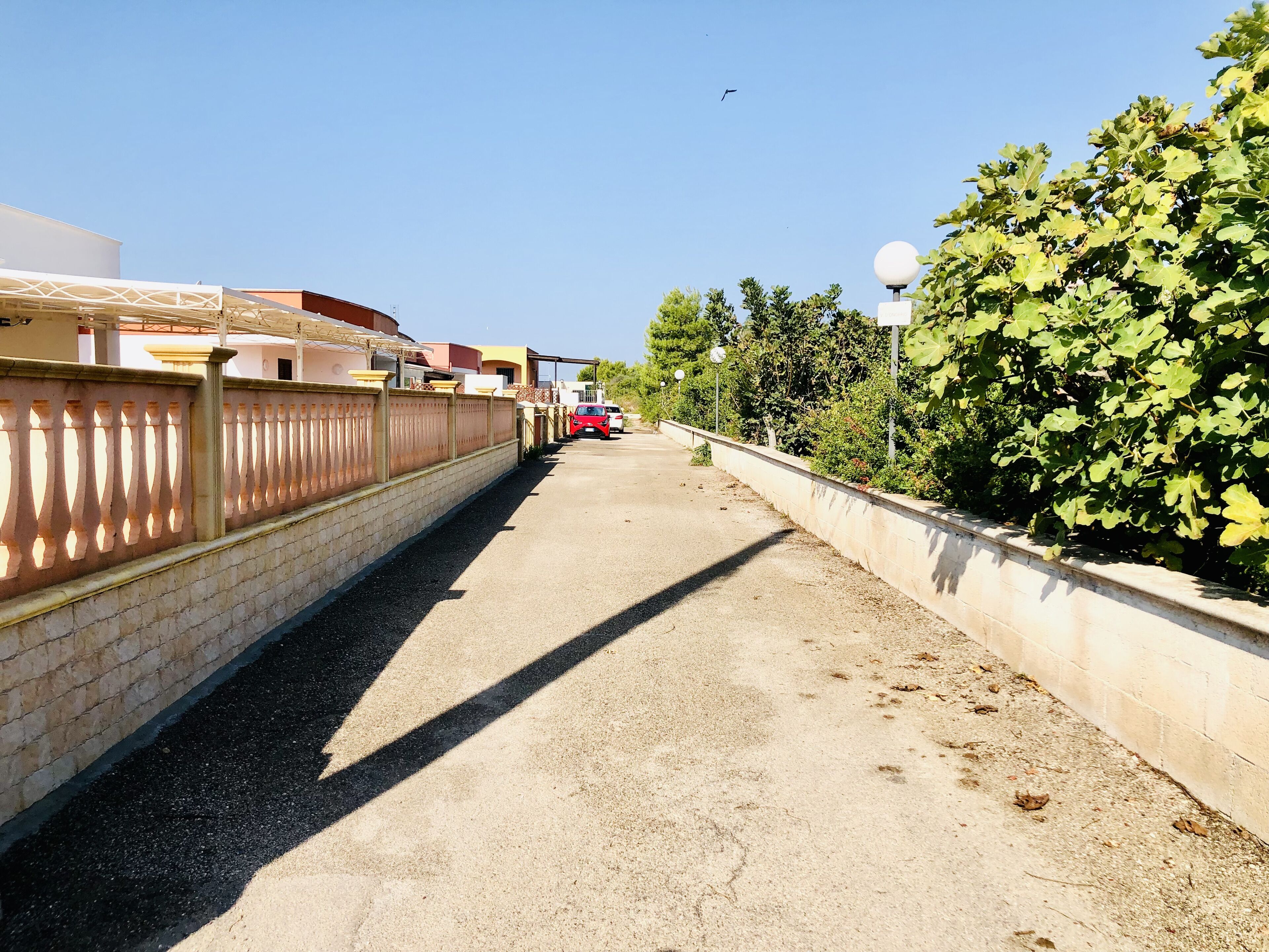 Une ruelle étroite, bordée d’un côté par un mur de briques et de l’autre par une haie.