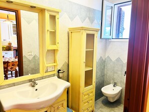 Shower, hair dryer, bidet, toilet paper