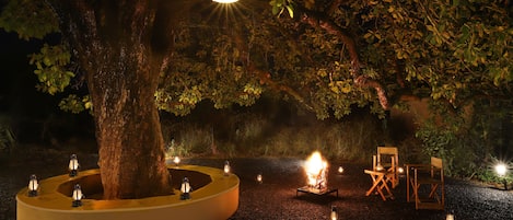 Jardin