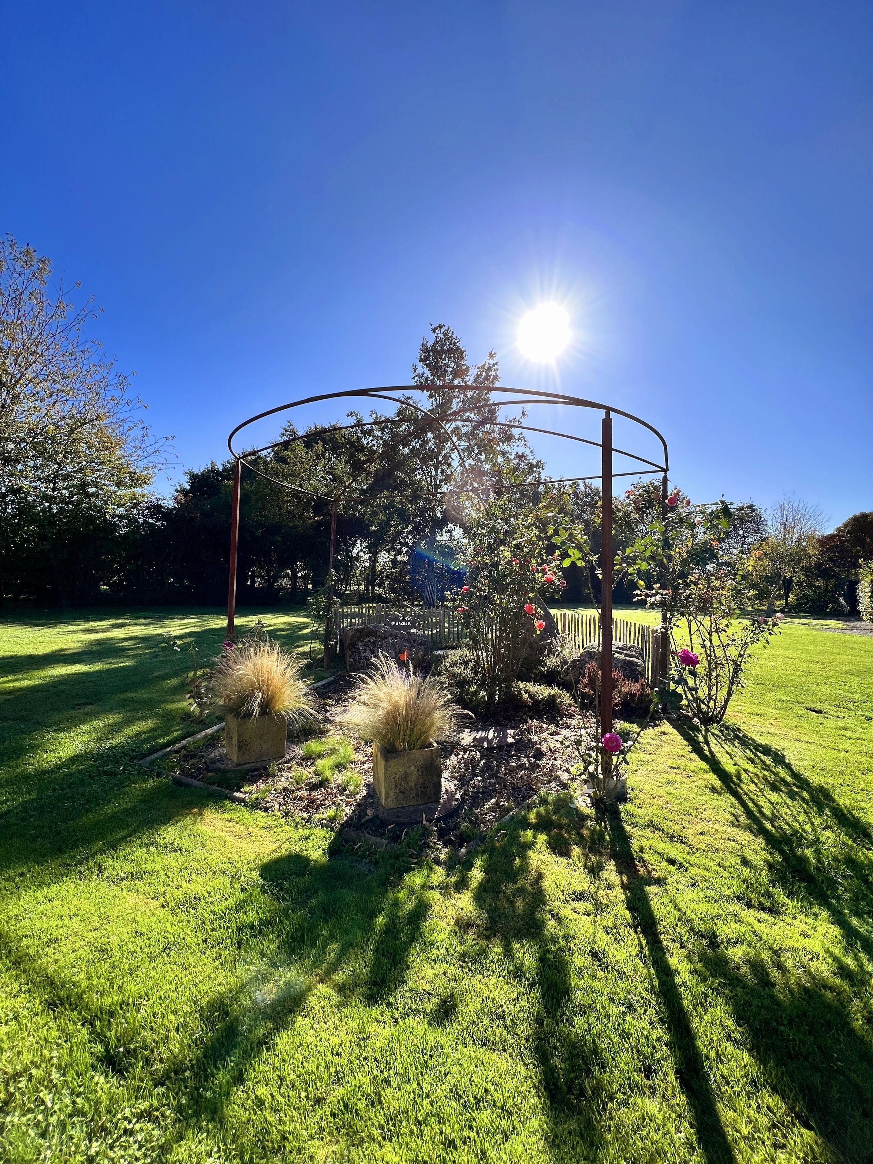 Een tuin met een ronde metalen constructie, planten in potten en een gazon.