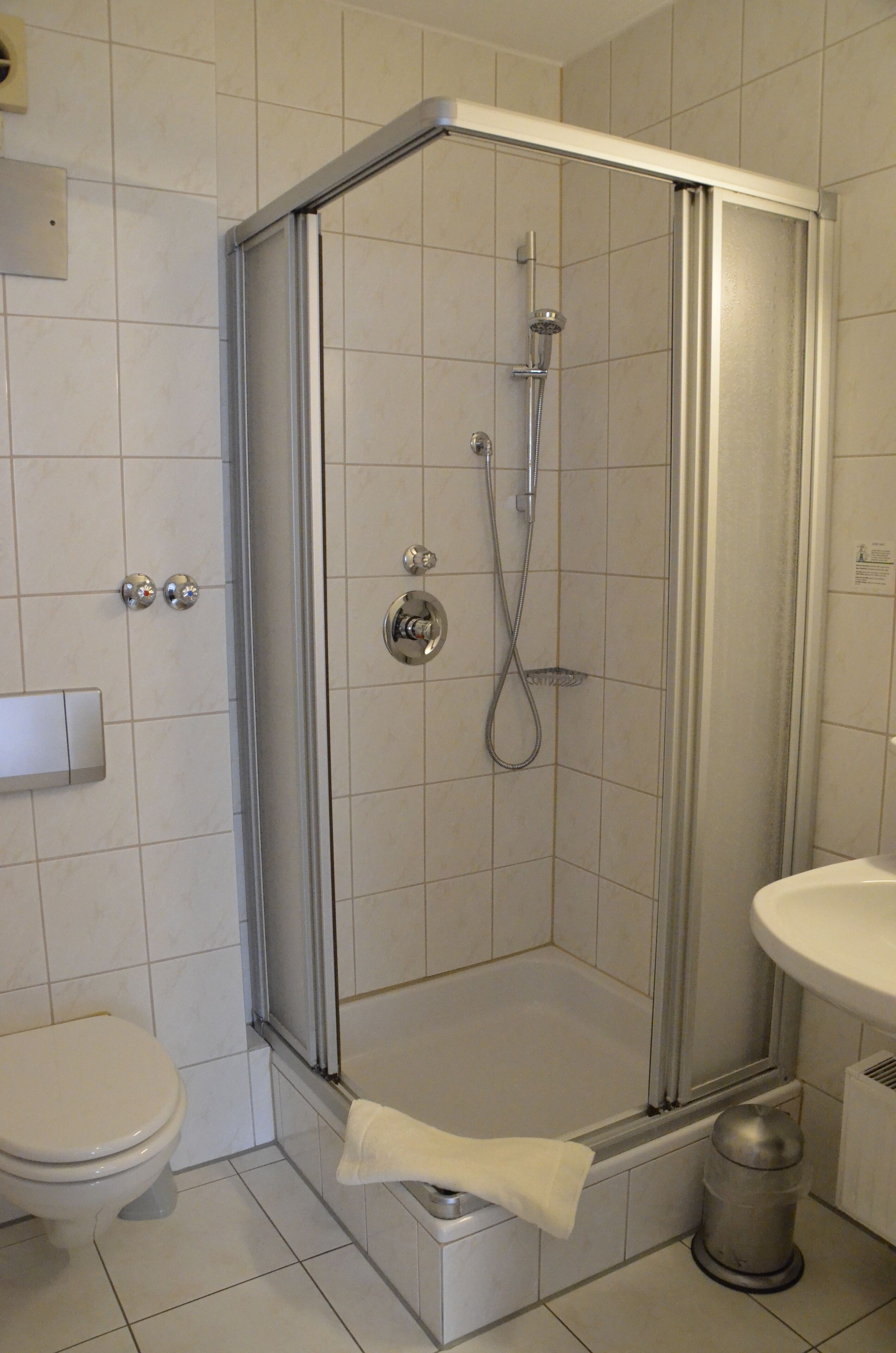 A shower enclosure with a handheld showerhead, a toilet, and a sink.