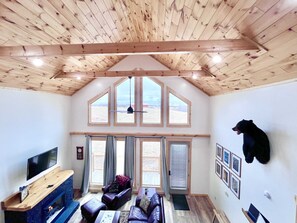 TV, fireplace, offices - Cat's Cradle | RRG | Sunset views | Hot Tub | Wifi - Pet friendly cabin centrally located 9 min from Natural Bridge State Park. (Rogers)