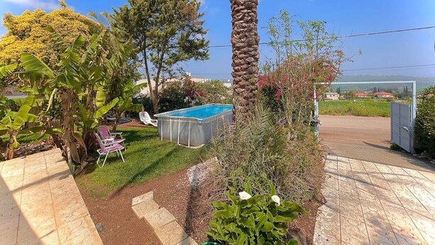 Un patio trasero con piscina, palmeras y una terraza techada.